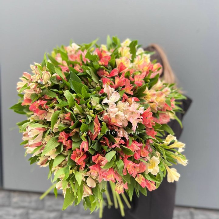 51 альстромерия в Воронеже