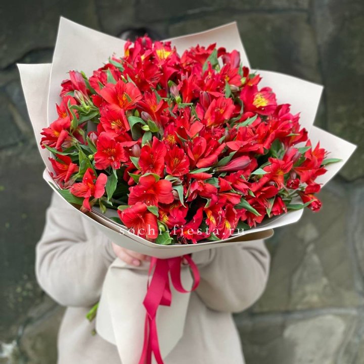 51 альстромерия в Воронеже