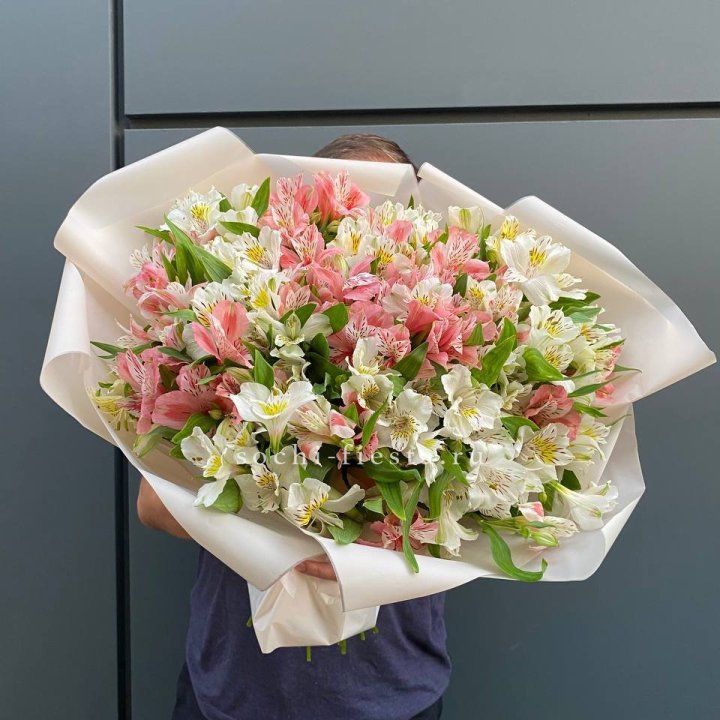 39 альстромерий в Воронеже