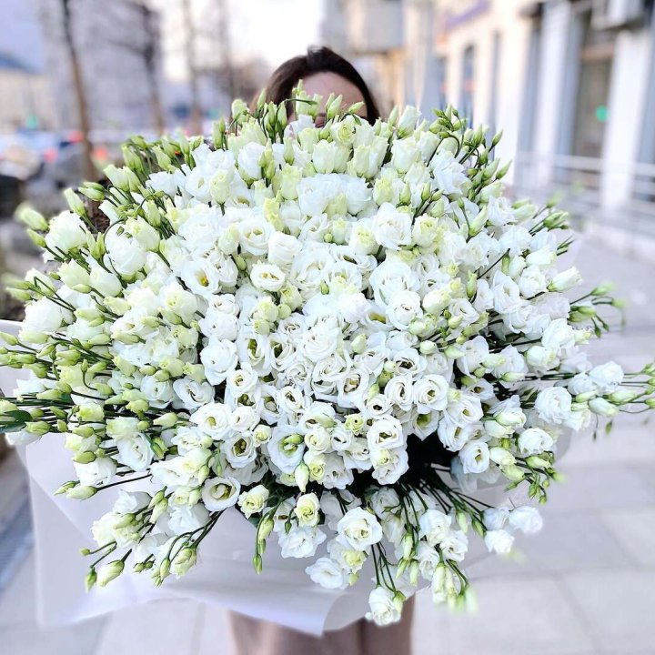 101 белая эустома в Воронеже