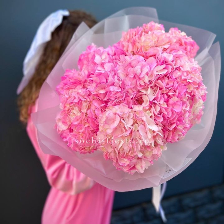 7 ярко розовых гортензий в Воронеже