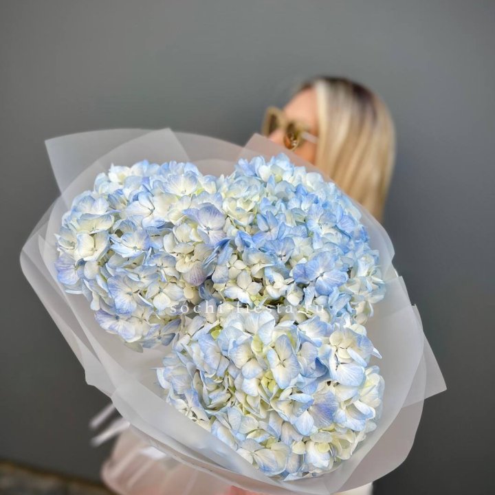 Букет из 3 голубых гортензий  в Воронеже
