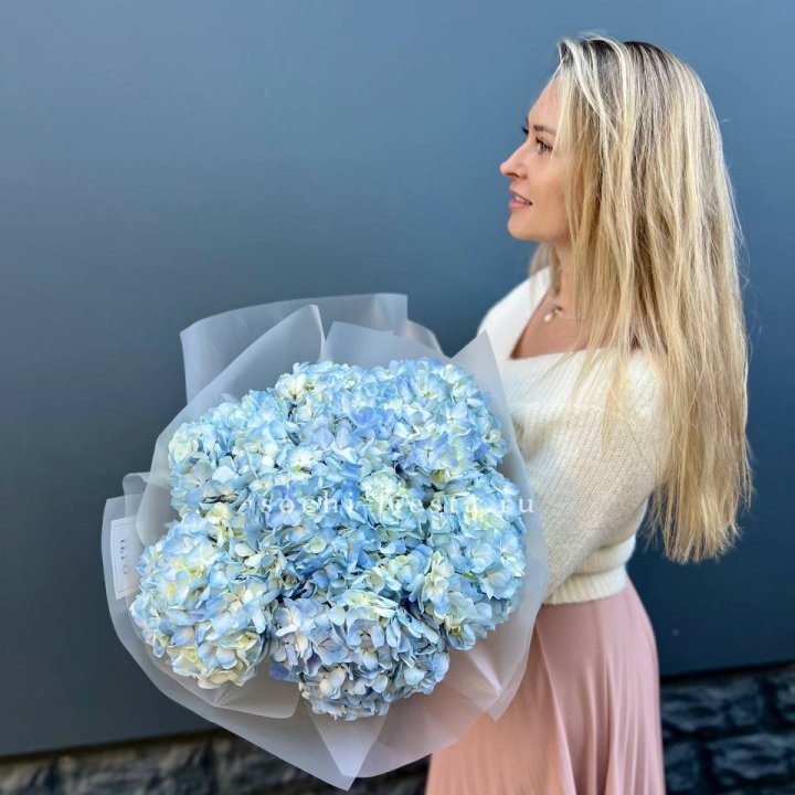 7 голубых гортензий в Воронеже