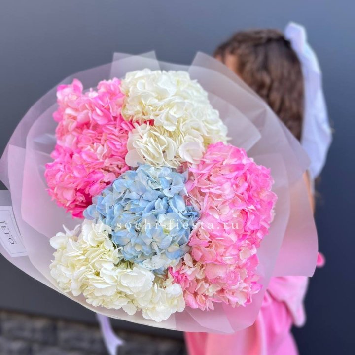 7 гортензий микс в Воронеже