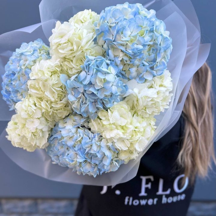9 бело-голубых гортензий в Воронеже
