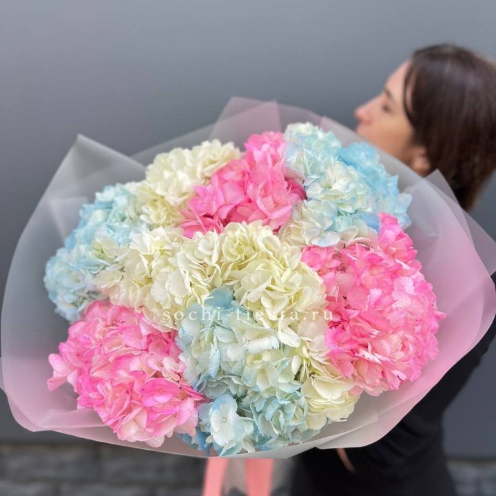 9 гортензий микс в Воронеже
