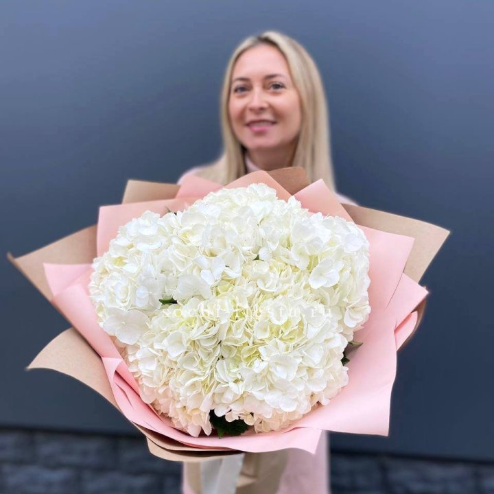 Гортензия белая в Воронеже