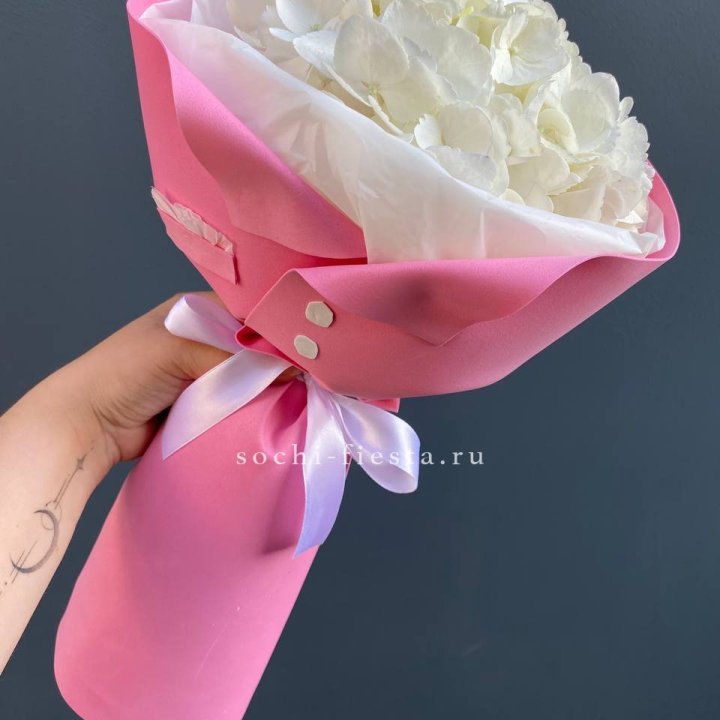 Гортензия в розовом пиджаке в Воронеже