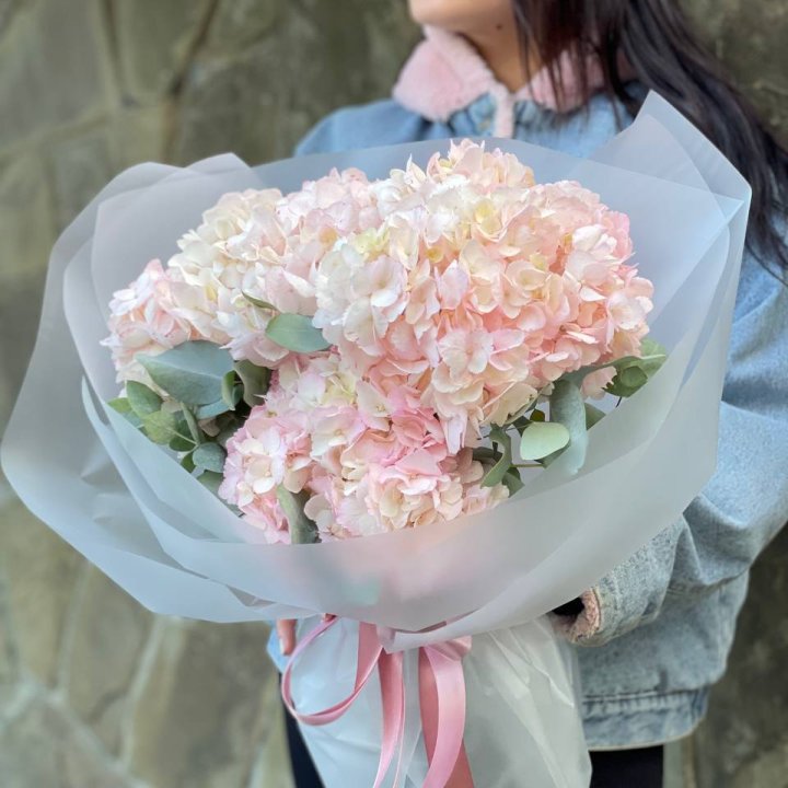 5 розовых гортензий в Воронеже