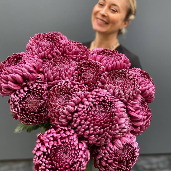 Охапка хризантем Бигуди в Воронеже