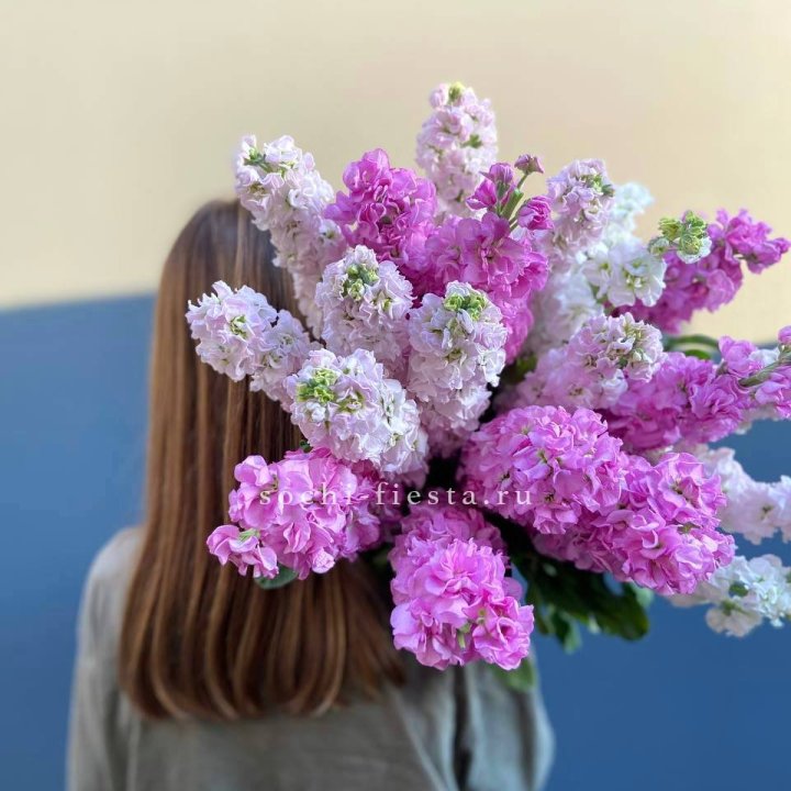 Охапка маттиолы в Воронеже