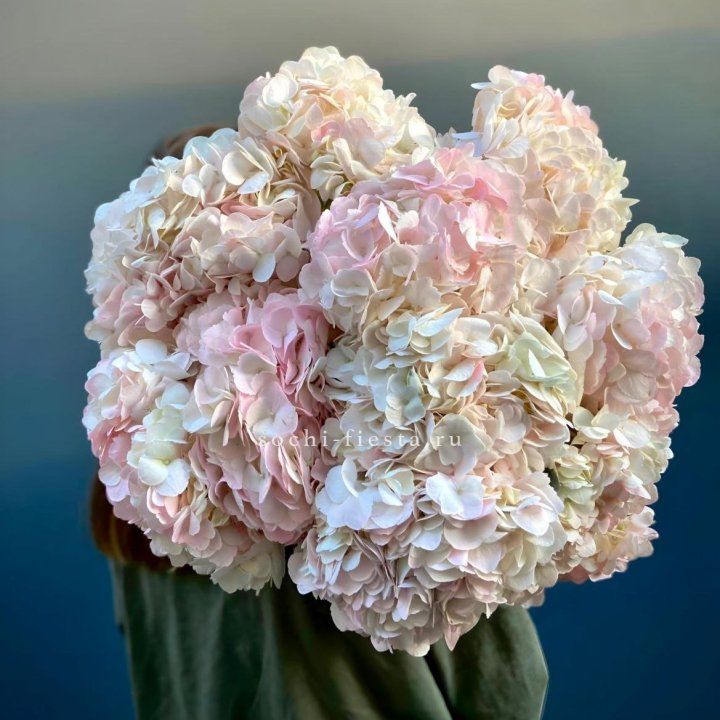 Охапка розовой гортензии в Воронеже