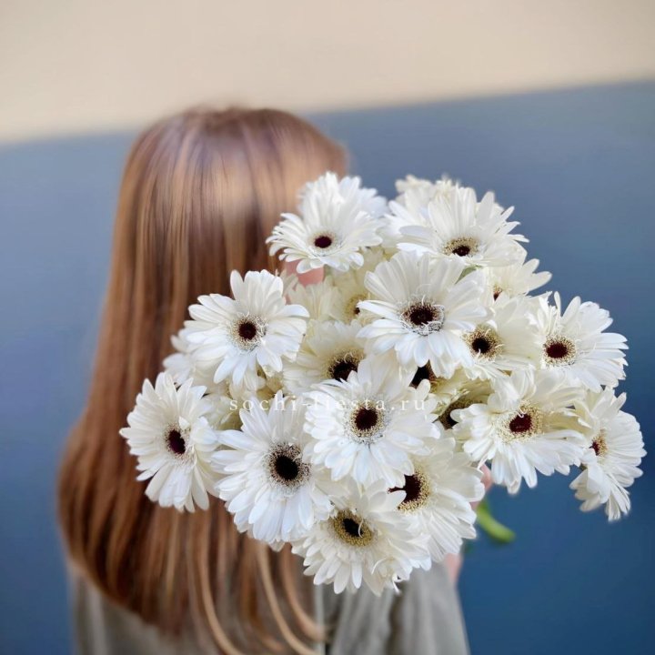 Охапка гербер в Воронеже