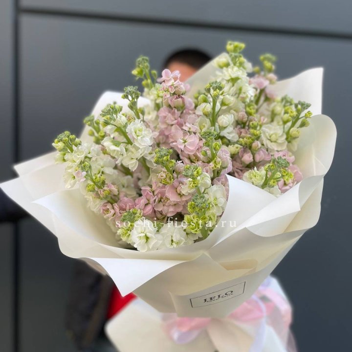 29 маттиол  в Воронеже