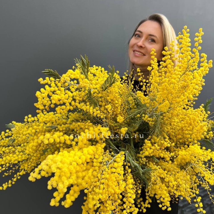 Охапка мимозы №2 в Воронеже