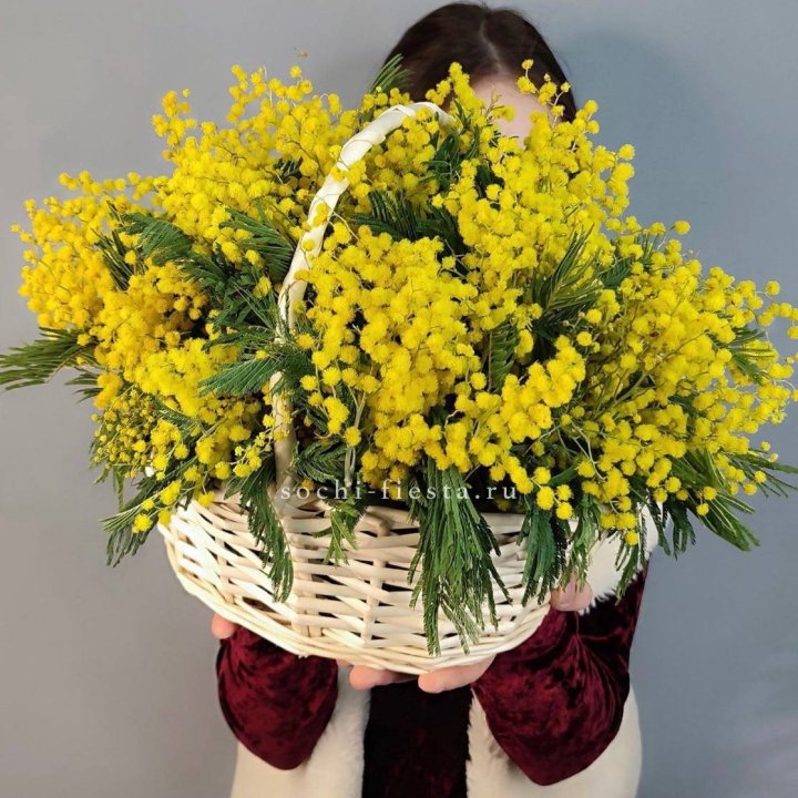 Корзина ароматной мимозы в Воронеже