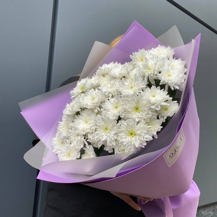  7 хризантем  в Воронеже