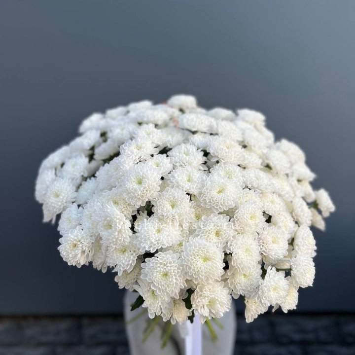  25 хризантем белых в Воронеже