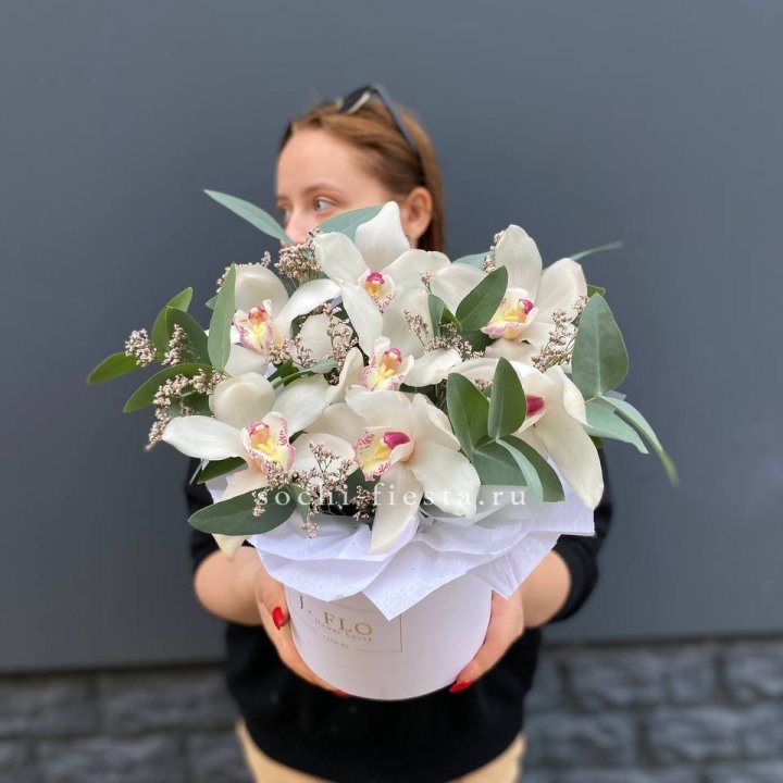 7 орхидей в боксе в Воронеже