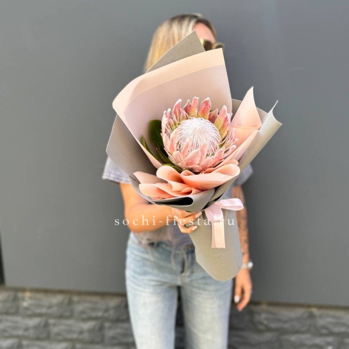 Протея мини  в Воронеже