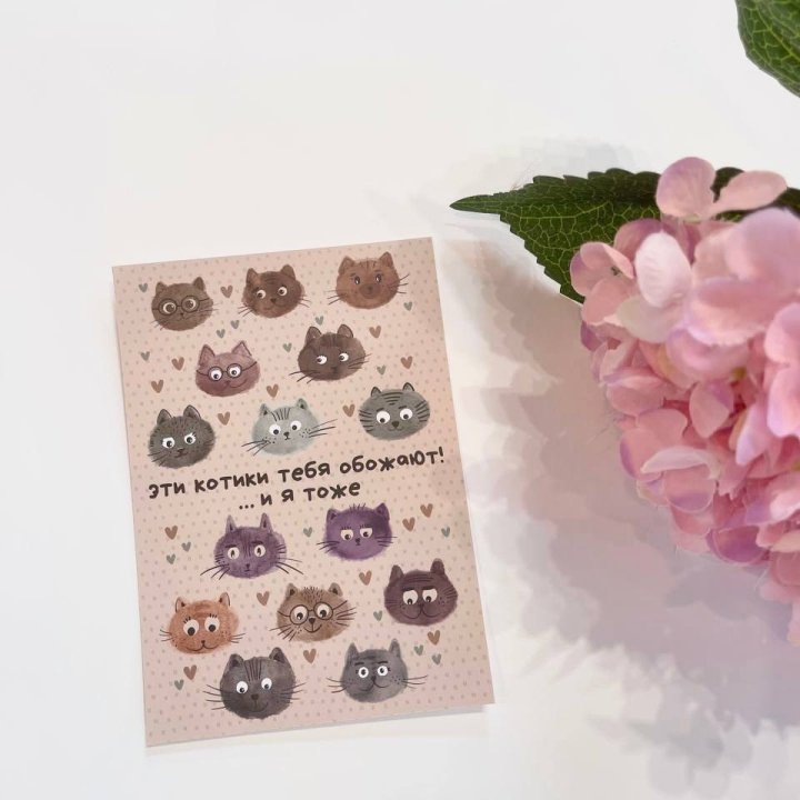 Открытка к букету "Котики" в Воронеже