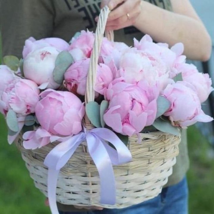 15 пионов в корзине в Воронеже