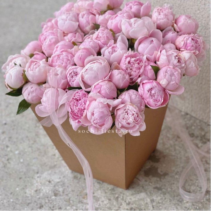 49 пионов в крафт коробке в Воронеже