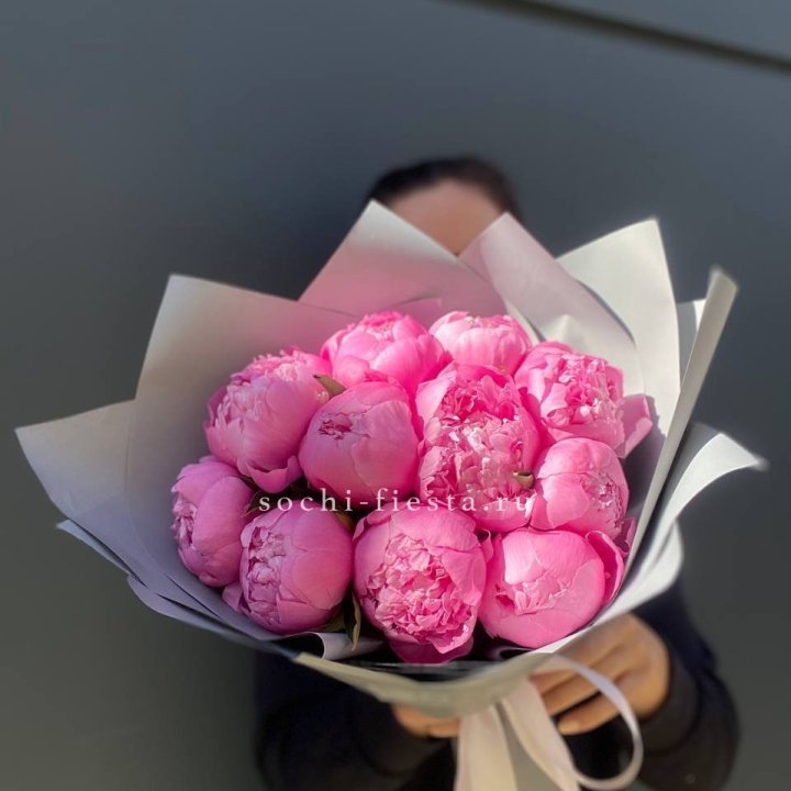 Пионы Алекс флеминг в Воронеже