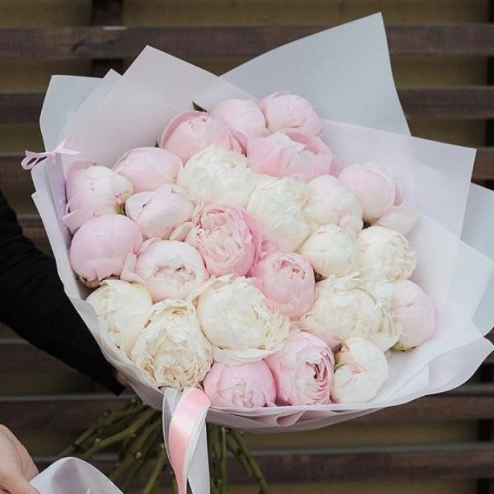 29 пионов в Воронеже