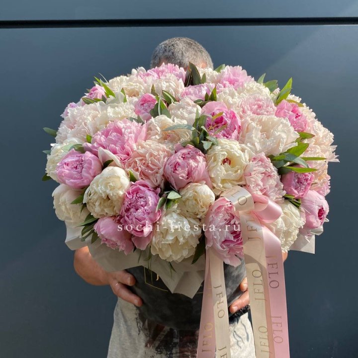 51 пионов в боксе в Воронеже