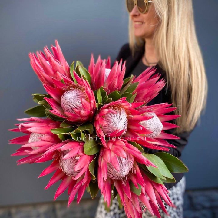 Протея штучно в Воронеже