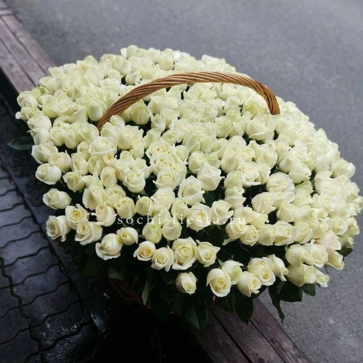 303 розы в корзине в Воронеже