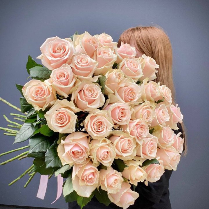 35 кремовых высоких роз в Воронеже