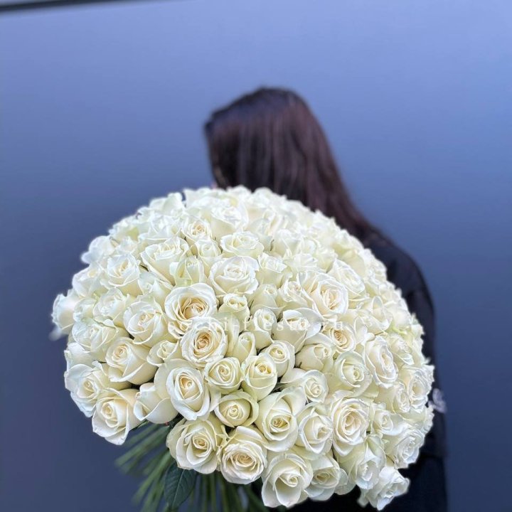 Охапка из 101 белой розы  в Воронеже