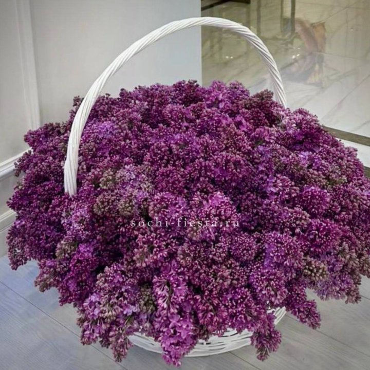 Корзина сирени в Воронеже