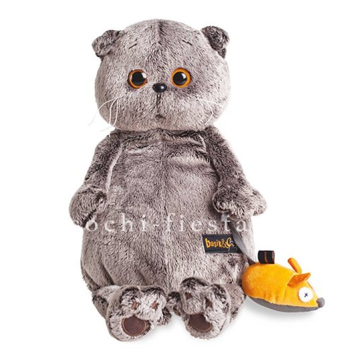 Кот Басик с мышкой в Воронеже