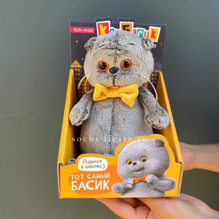 Кот Басик с бабочкой в Воронеже