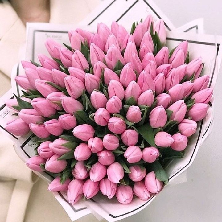 101 розовый тюльпан в белом в Воронеже