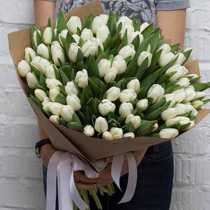 101 тюльпан сноу в Воронеже