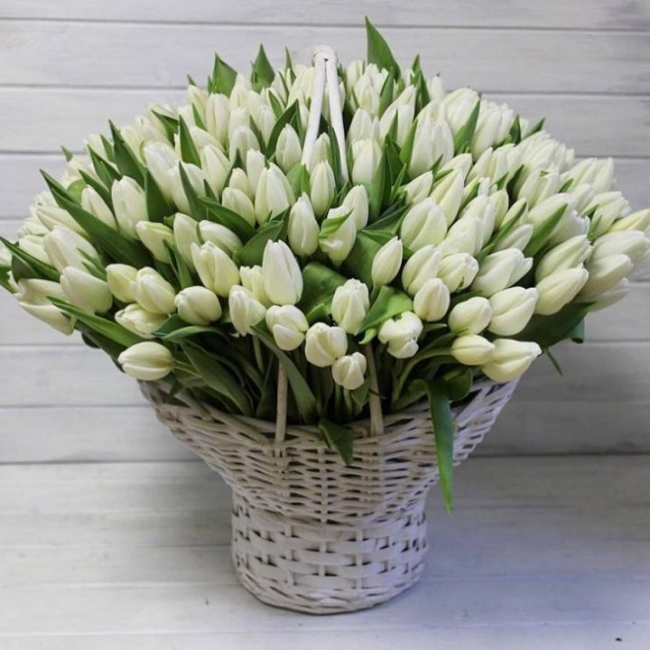 Корзина из 151 тюльпана в Воронеже