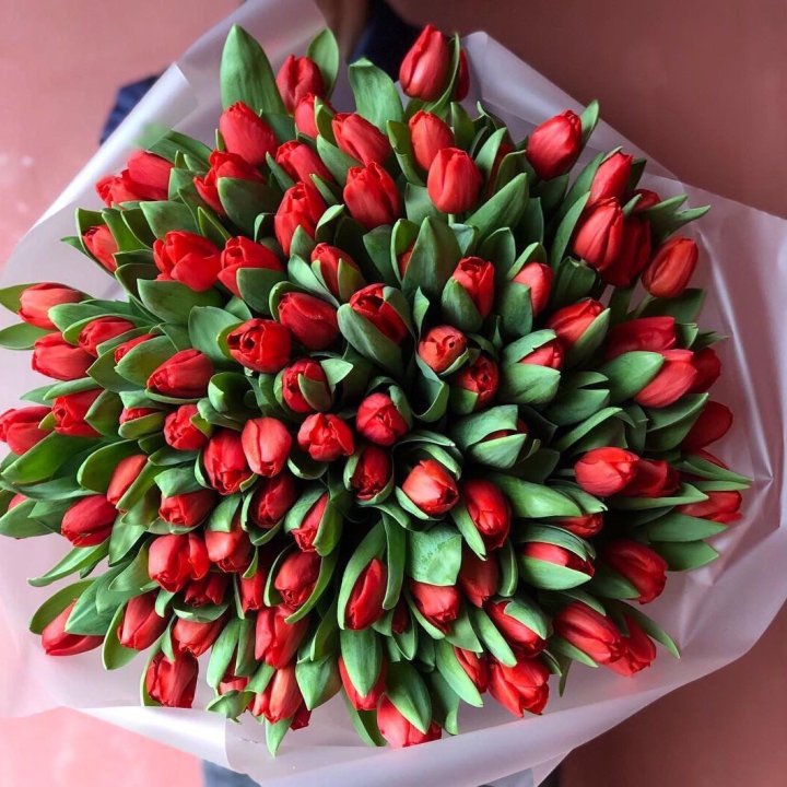 101 красный тюльпан в Воронеже